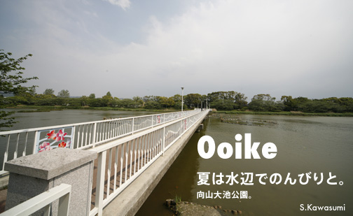 大池の水辺