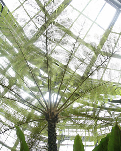 のんほいパーク