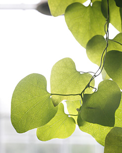 のんほいパーク